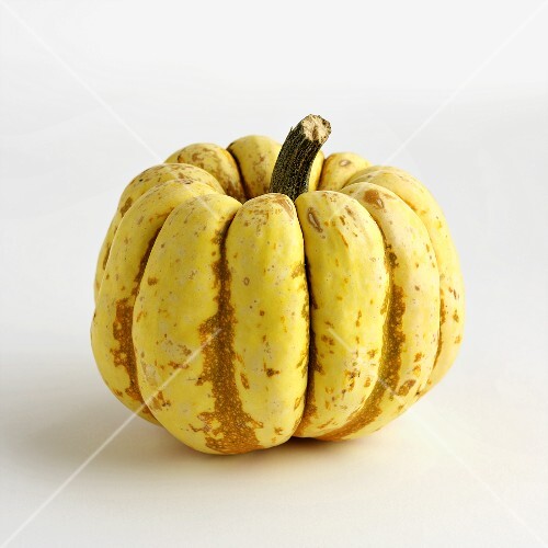 Winter Squash