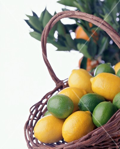 Basket of Lemons and Limes on White Background