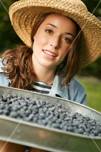 Woman Holding Tray of Fresh Blueberries