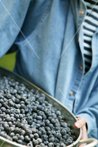 Woman Holding Tray of Blueberries