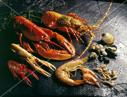 Still life of shellfish