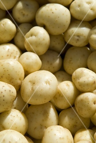 Full Frame of Small White Potatoes