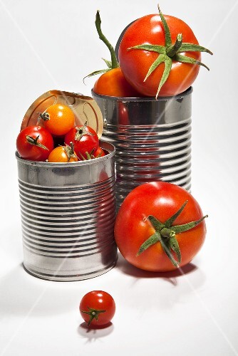 Various types of fresh tomatoes in food cans