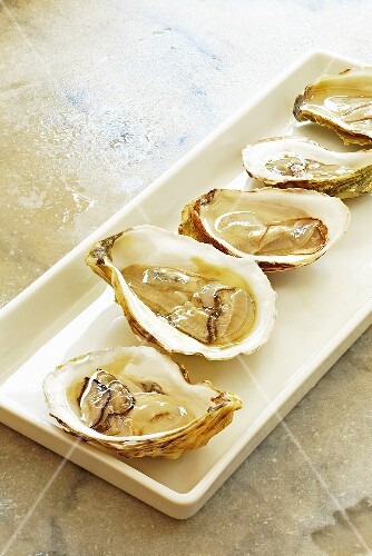 Fresh Raw Atlantic Oysters on the Half Shell; On RectangularPlatter