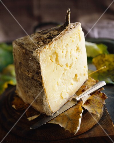 A slice of Cheddar on an autumnal leaf