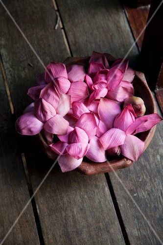 A bowl of purple lotus flowers on a wooden floor