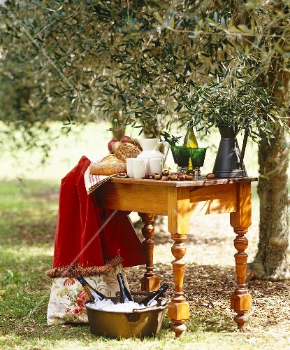 A table laid with bread and refreshments for an evening meal in the olive grove