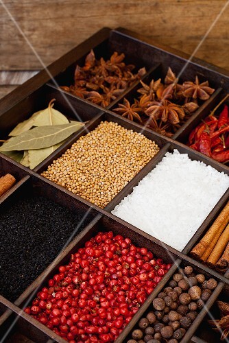 Exotic spices in a seedling tray