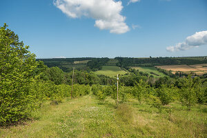 N° de l'image 13255448