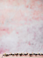 N° de l'image 14398464