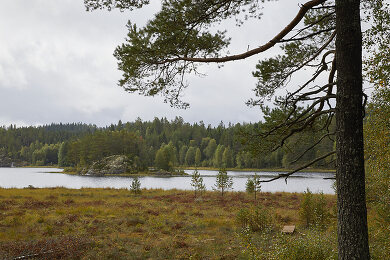 Image no. 12868320