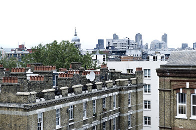 Image no. 12795162