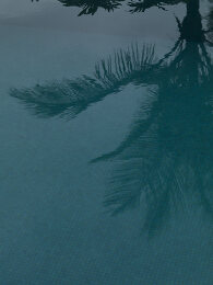 Image no. 12796024