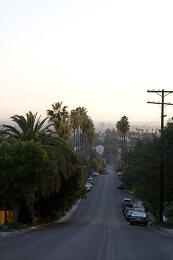 Image no. 12807406