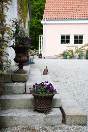 Image no. 12808128