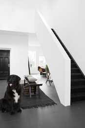 Image no. 12808768
