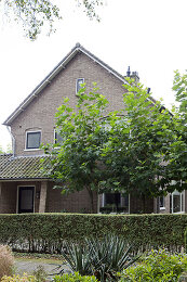 Image no. 12809806