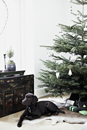 Image no. 12814234