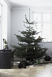 Image no. 12814268