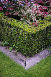 Image no. 12816030