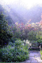 Image no. 12816074