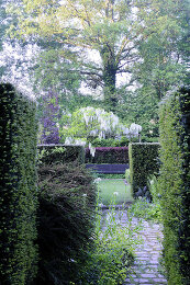 Image no. 12816126