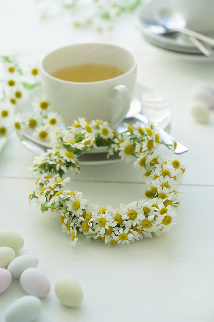 Calming Chamomile