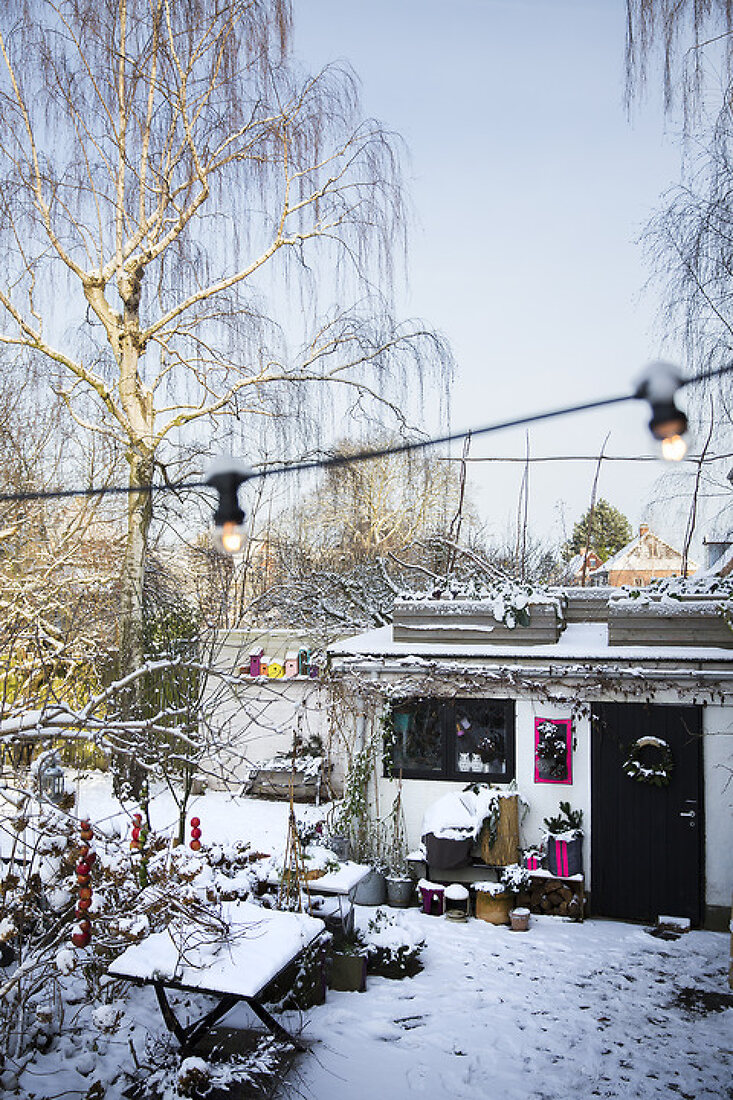 My Winter Garden