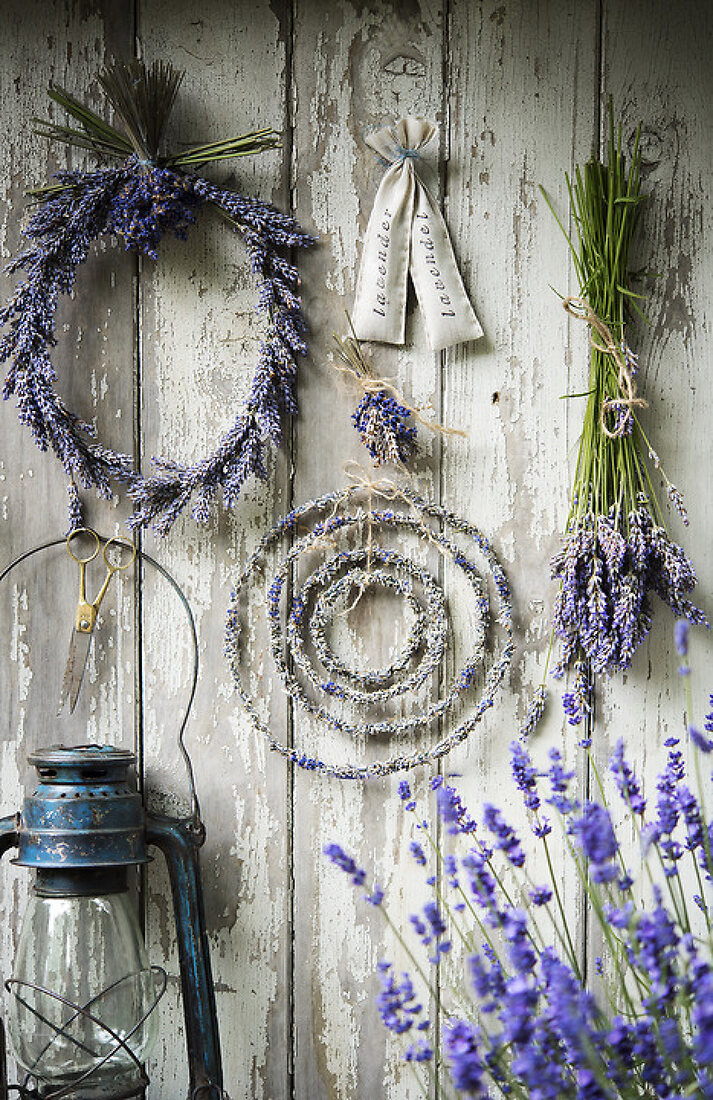 Enjoy the Lovely Lavender