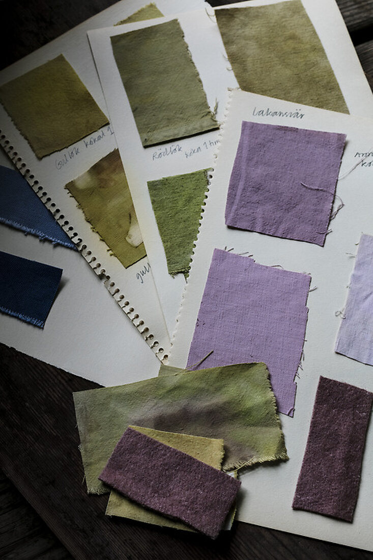 Natural Dyes from Plants and Mineral Sources