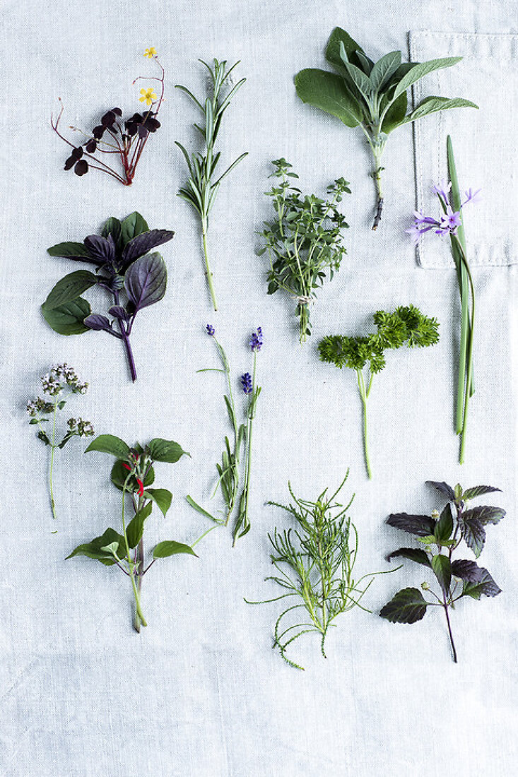 The Joy of Home Grown Herbs