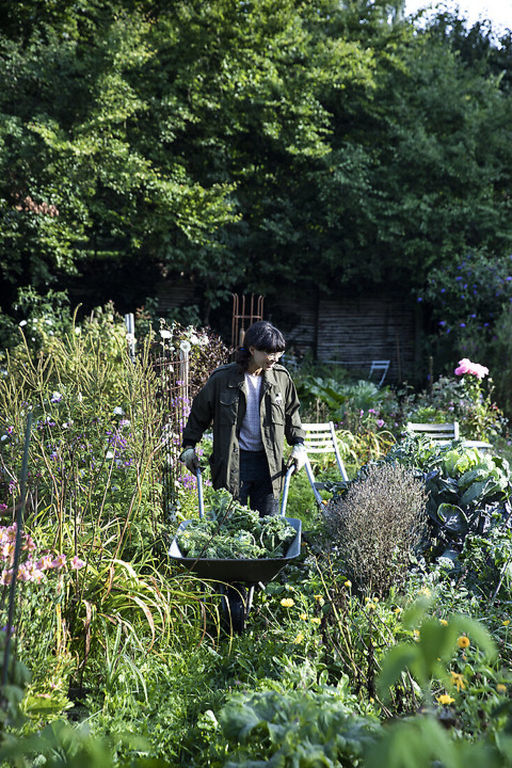 My Lush Allotment Kitchen Garden