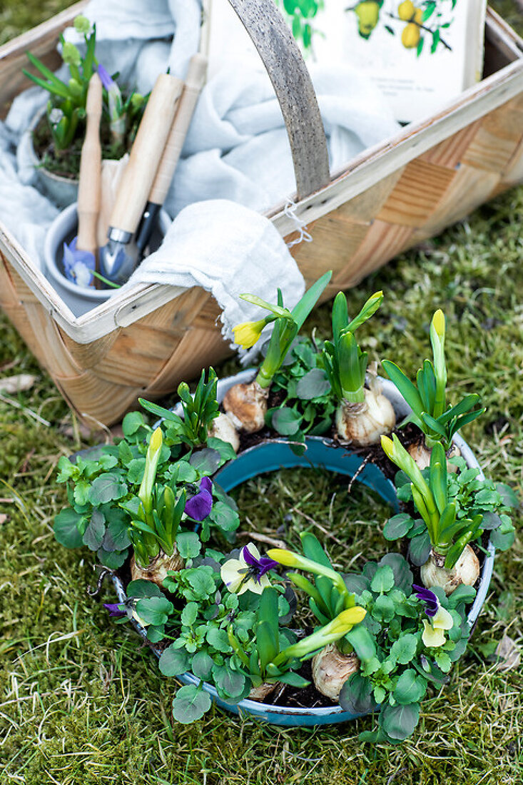 Spring Planting