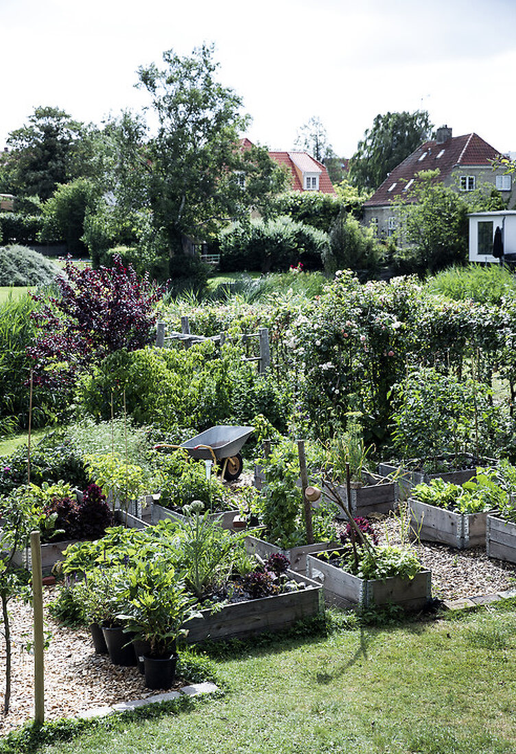 Ditte's Kitchen Garden