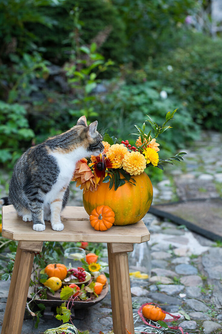 Autumn Pumpkin Decorations