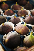 Fabulous Figs