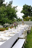 Summer party by the fjord