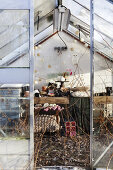 Romance in the Winter Greenhouse