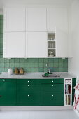 Kitchen in Green