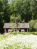 Tiny Romantic Cottage