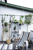 Optimize your Balcony with Plants