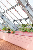 Greenhouse & Home