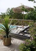 Modern Backyard Sanctuary