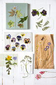 Pressed for Time: A Year in Blooms