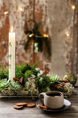 Christmas Countdown in Full Bloom