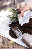 Repotting Day at the Spring Equinox