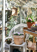 Spring Starts in a Pot