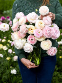 A Spring of Ranunculus