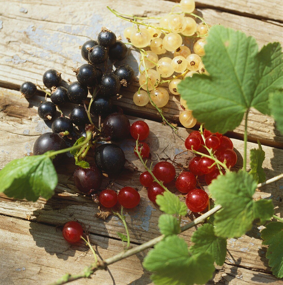 Black-, white and redcurrants on wooden background