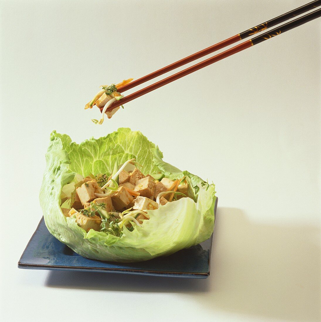 Tofu salad with sprouts and cress